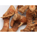 Professional supply new harvest buyer of galangal in china for sale